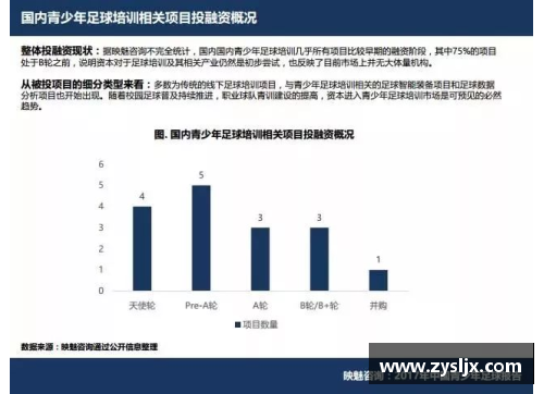 足球赛事分析：智能策略与数据解读